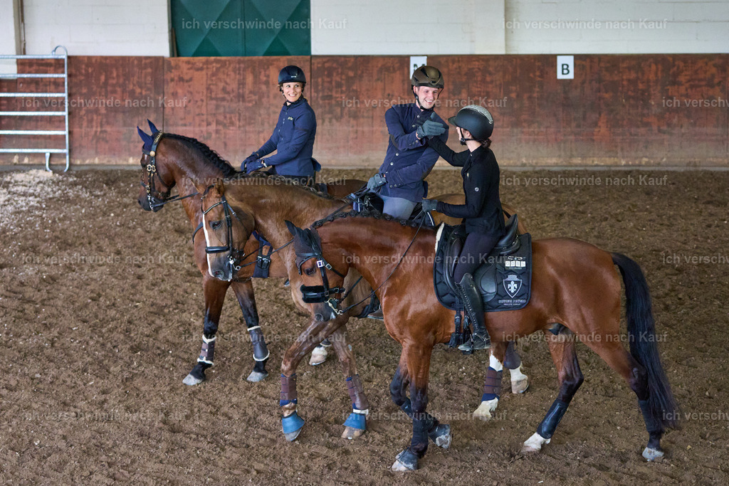 SIN03595_Marixx | working equitationturnier fotograf videograf stoibphotography marixx film working equitation deutschland reitsport turnierfotografie eventfotografie equestrian events