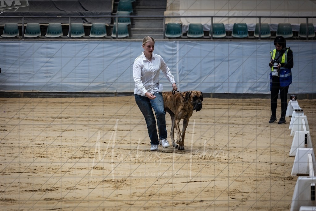 DS - Junior-Handling II_0027 | Markus Heber Photography