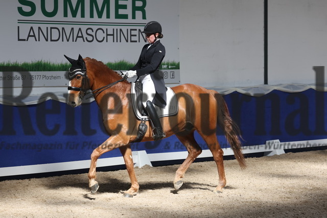 Pforzheim_2024_Prfg.Nr.08_Dressurprfg.Kl.S_Amateure_Nadia Lachemann_Lissardo (6) | Alle Fotos der Reiterjournal Fotografin Doris Matthaes im Reiterjournal Online-Fotoshop. - Realizzato con Pictrs.com