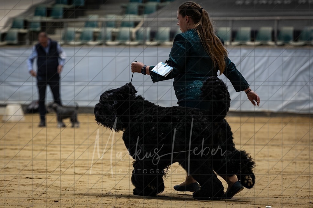 DS - FCI Gruppe 2_0045 | Markus Heber Photography