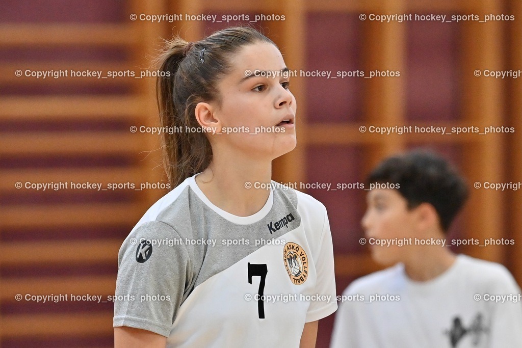 ASKÖ Volley Eagles vs. ATSC Kelag Wildcats 16.10.2022 | #7 FANIC Nada