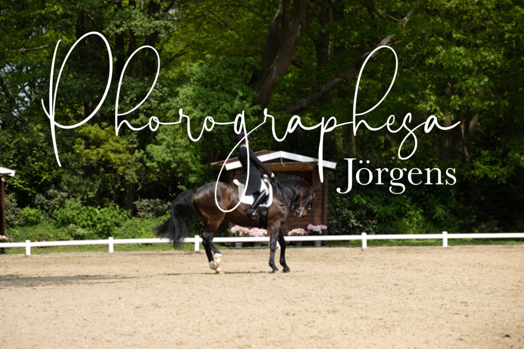 IMG_1554 | photographesa-joergens - Realisiert mit Pictrs.com