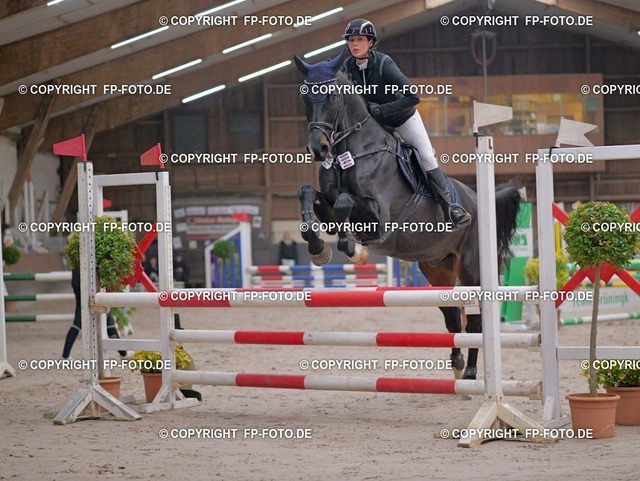 P0161995.t | FP-Foto.de - Realisiert mit Pictrs.com