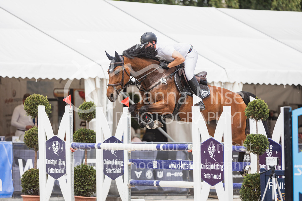 250531_MayDays_M2-SpringenmstAnf-782 | Pferdesportfotografie Reitsportfotografie Horsesports Photography Stockfotos Reitsportfotos Pferdefotos