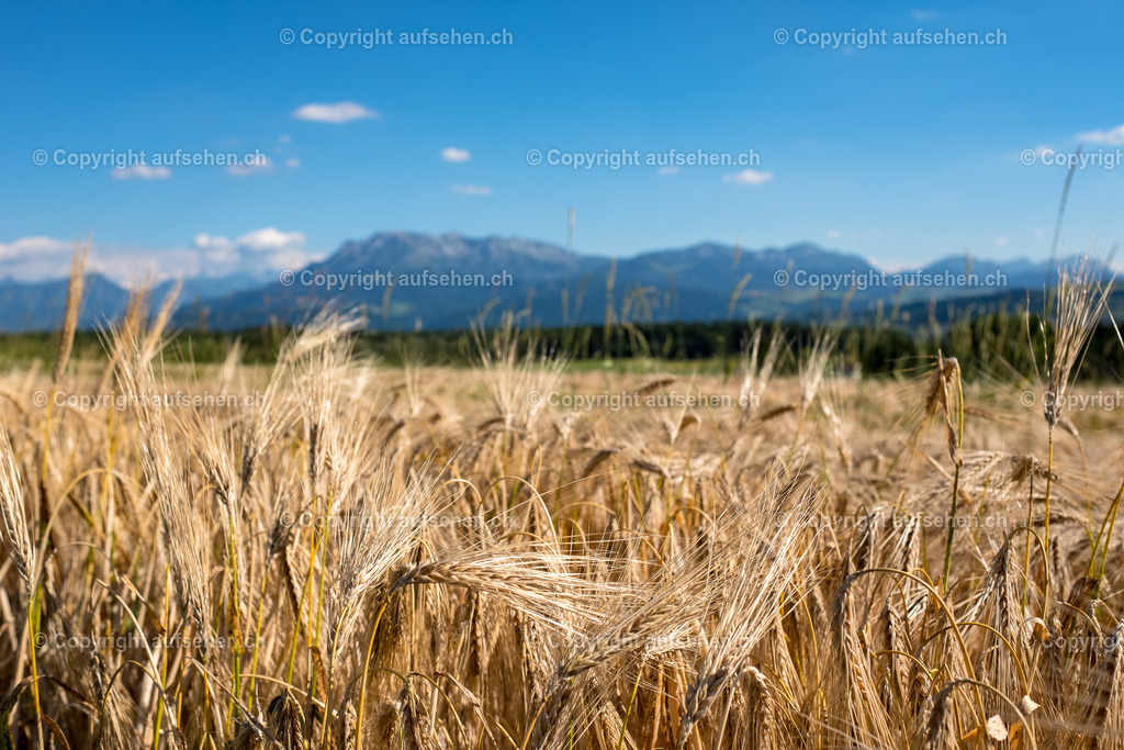 20180626_175815_GGF_5781 | Fotodownload für Pfarreien, Kirchgemeinden und Non-Profit-Organisationen. - Realisiert mit Pictrs.com