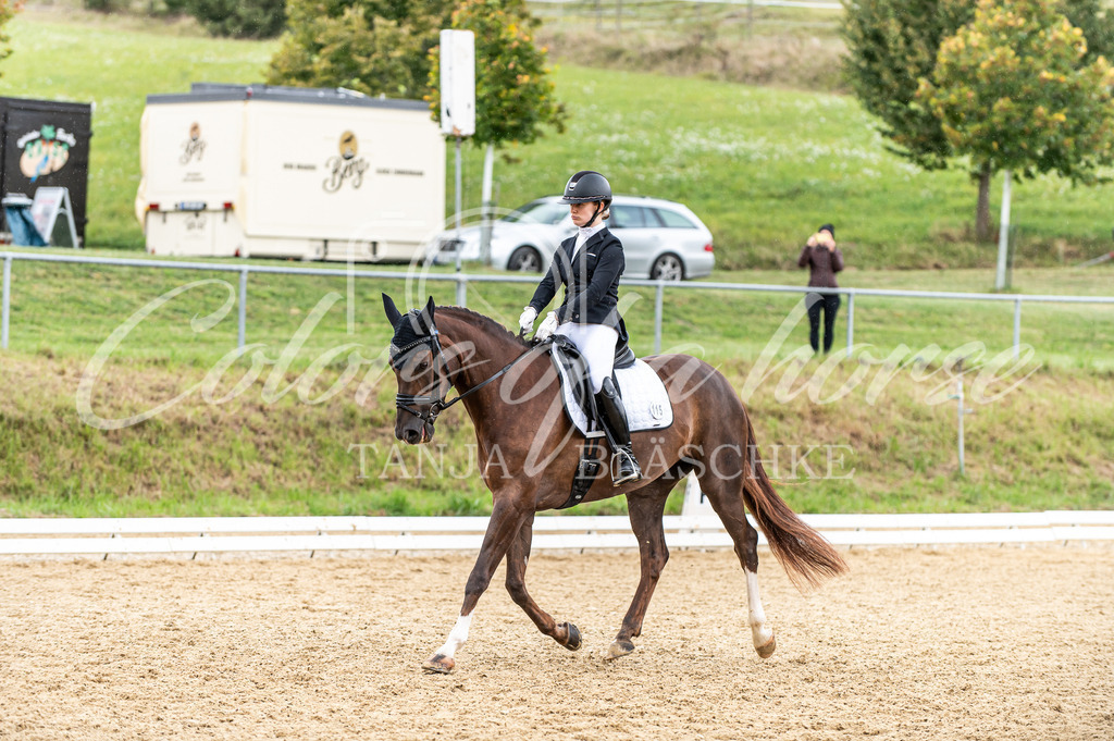 TBL_1443 | Turnierfotos von Reitturnieren in den Landkreisen Biberach, Ravensburg und in ganz Oberschwaben - von Tanja Bläschke - Colorsofahorse - Realisiert mit Pictrs.com