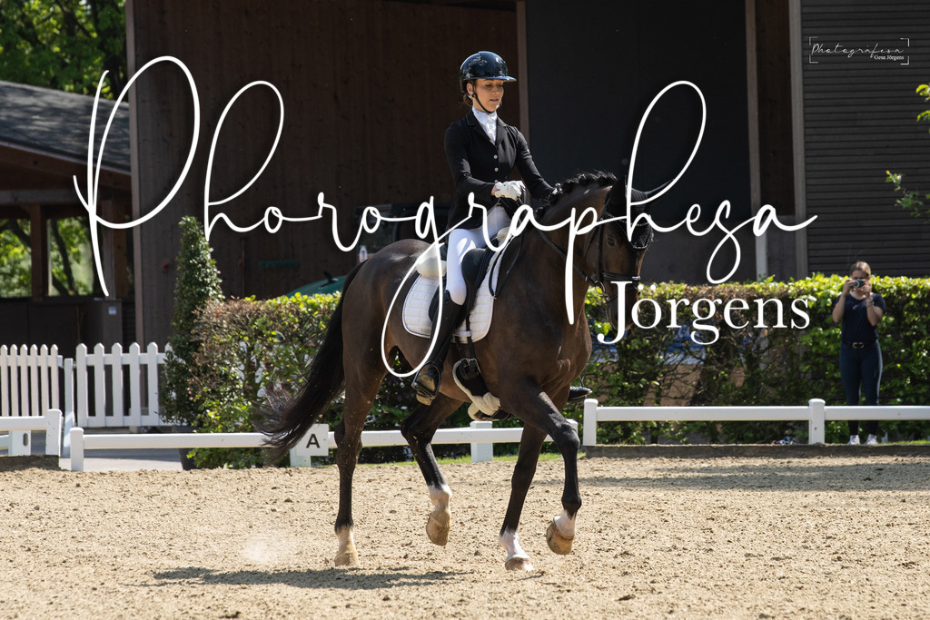 IMG_6114 | photographesa-joergens - Realisiert mit Pictrs.com