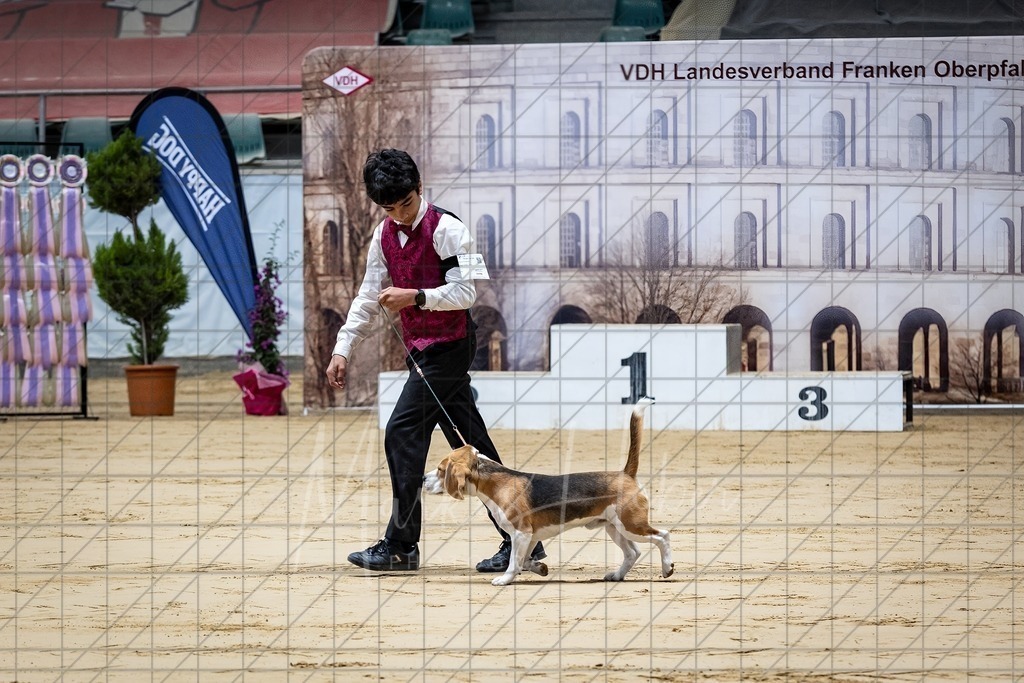 DS - Junior-Handling II_0042 | Markus Heber Photography