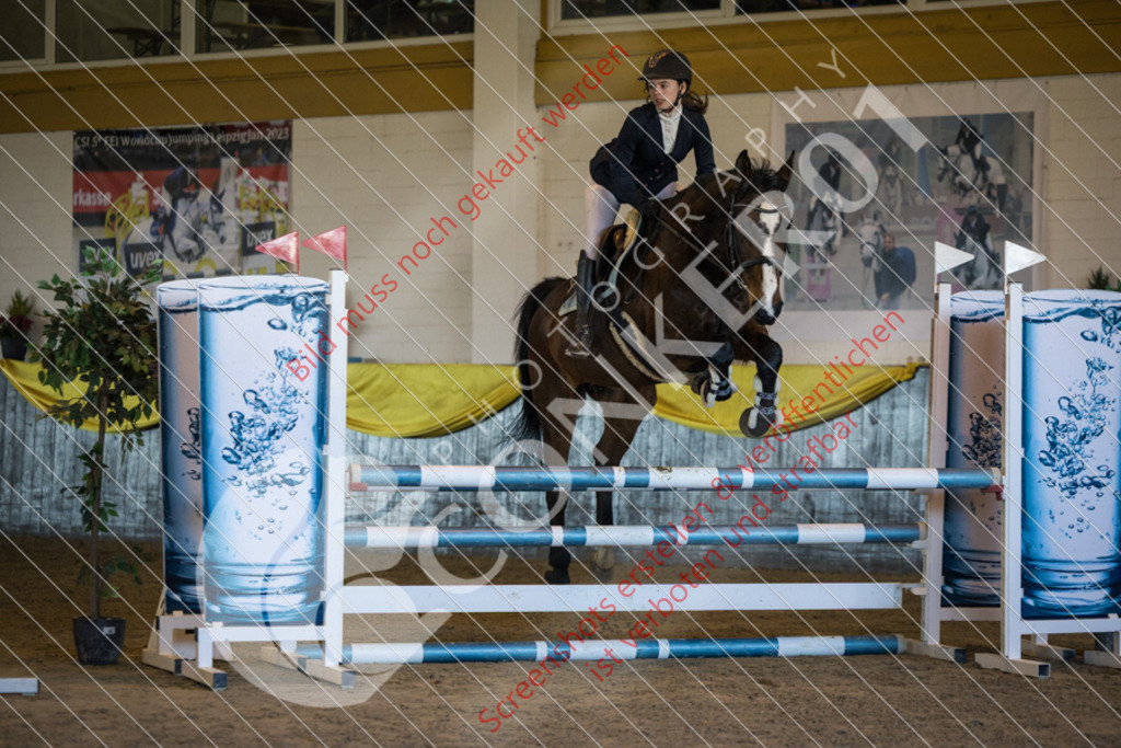 IMG_2741 | Hier findest Du viele Augenblicke aus den Bereichen der Turnier-, Sport- & Tierfotografie. Bilder mit deinem Liebling, Portrait-, Bewerbungs-, Businessbilder können ebenfalls schnell und einfach erstellt werden.