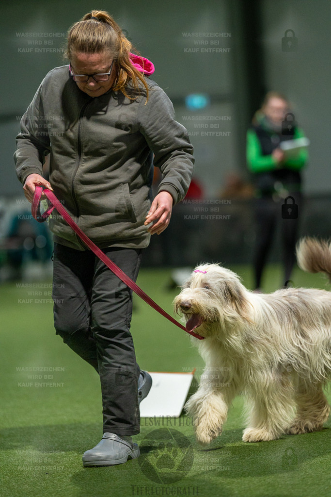 7IV06805 | Professionelle Tierfotografie in Mönchengladbach von Daniel Wirth (allesWIRTHgut). Liebevolle & natürliche Bilder von Hunden & Katzen für unvergessliche Erinnerungen.