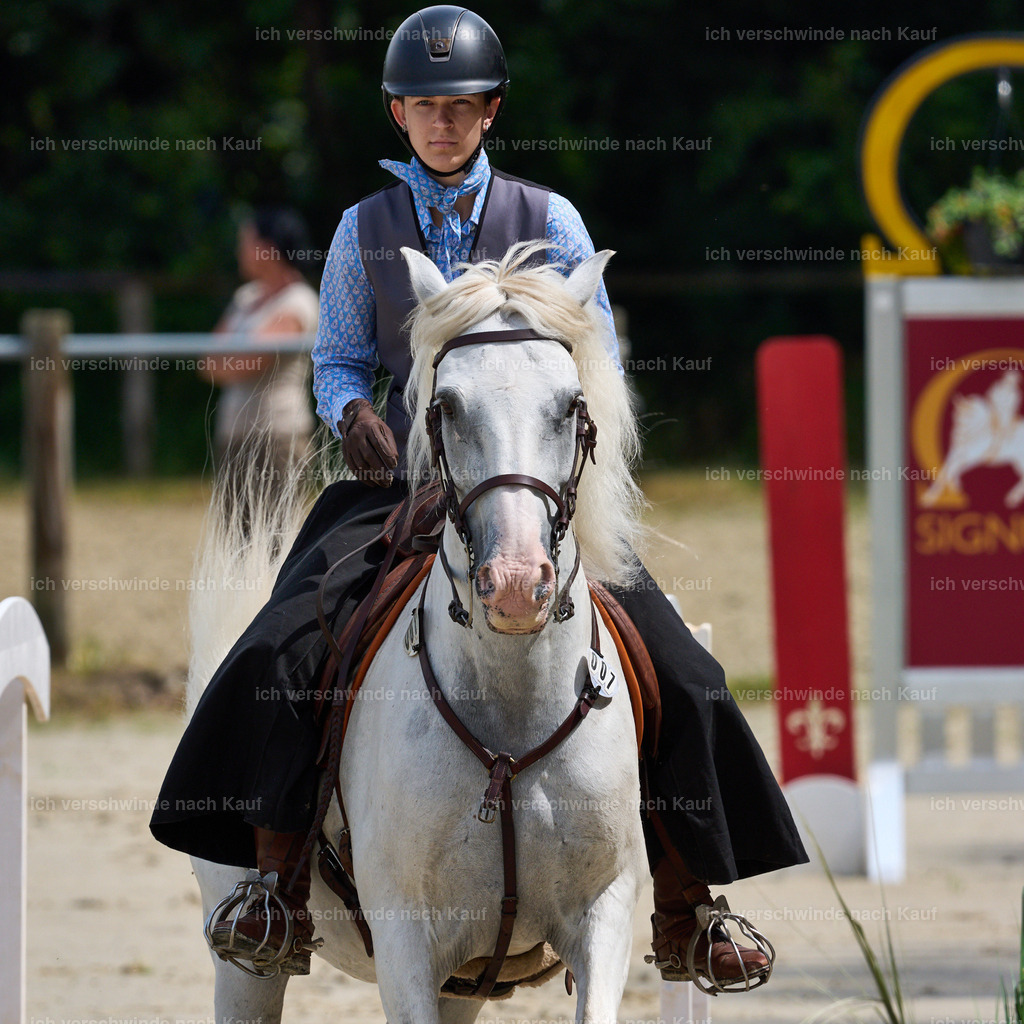 SIN06742_Marixx | working equitationturnier fotograf videograf stoibphotography marixx film working equitation deutschland reitsport turnierfotografie eventfotografie equestrian events