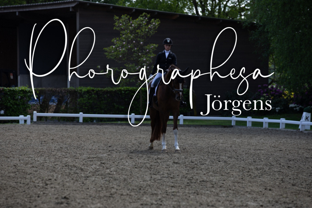IMG_8956 | photographesa-joergens - Realisiert mit Pictrs.com