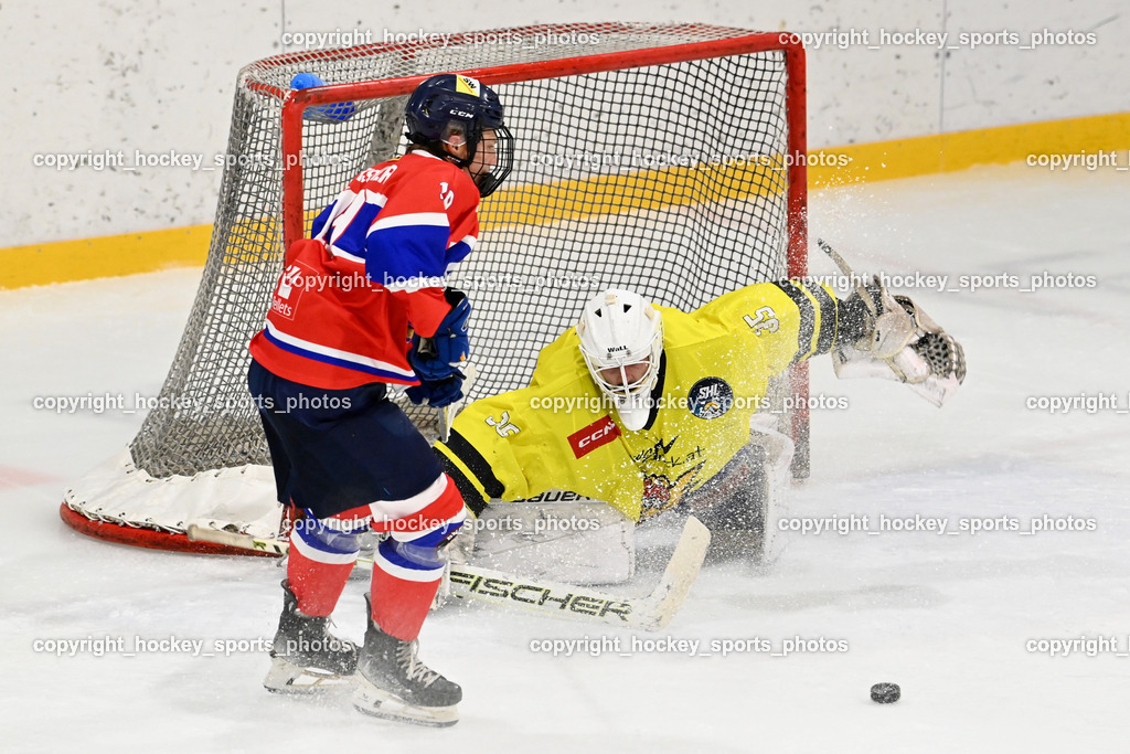 Sunshine Hockey League Spieltag 4. | #35 Fabian Horn Liwodruck Lightning, Sunshine Hockey League Spieltag 4., Sunshine Hockey League Spieltag 4. am 27.06.2025 in Ferlach (Eishalle Ferlach ), Austria, (Photo by Bernd Stefan)