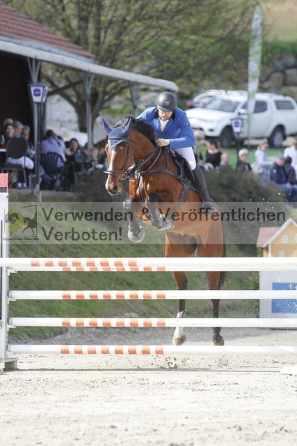 _MG_0846 | equestrian-live-com