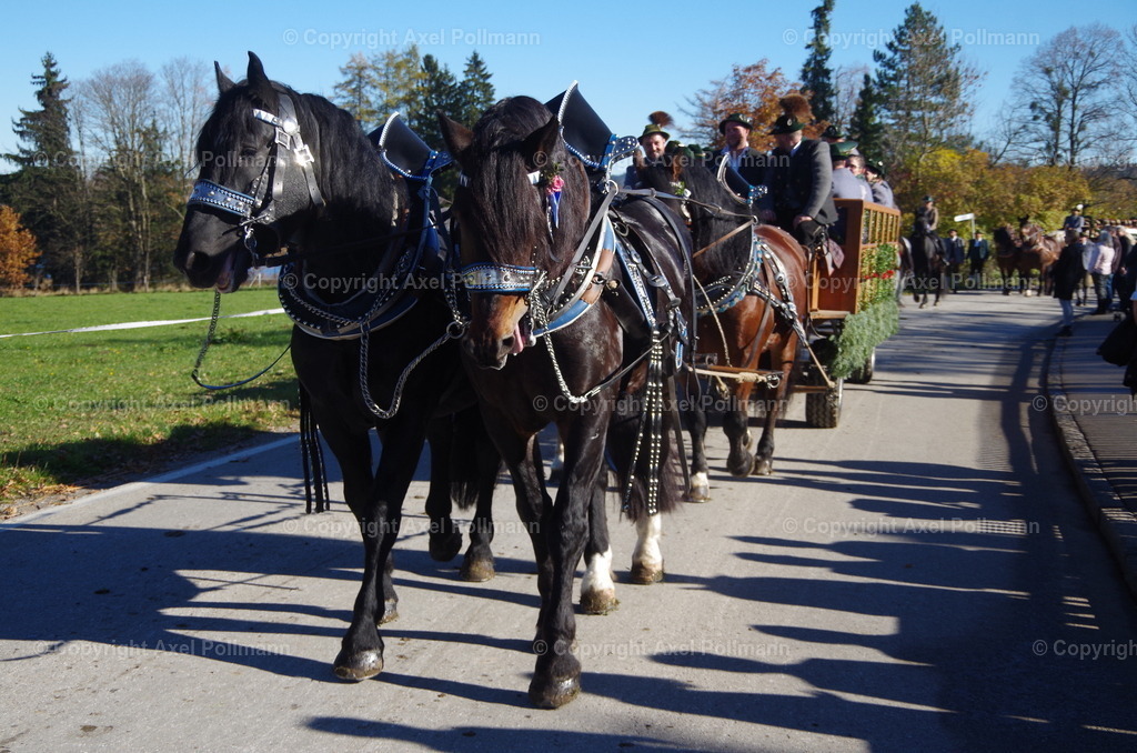 IMGP8298 | fotografiert von Axel PollmannLeonhardi Wallfahrt Benediktbeuern und Murnau, Fronleichnam, Fasching, Landschaft im Loisachtal und Benediktbeuern  - Realisiert mit Pictrs.com