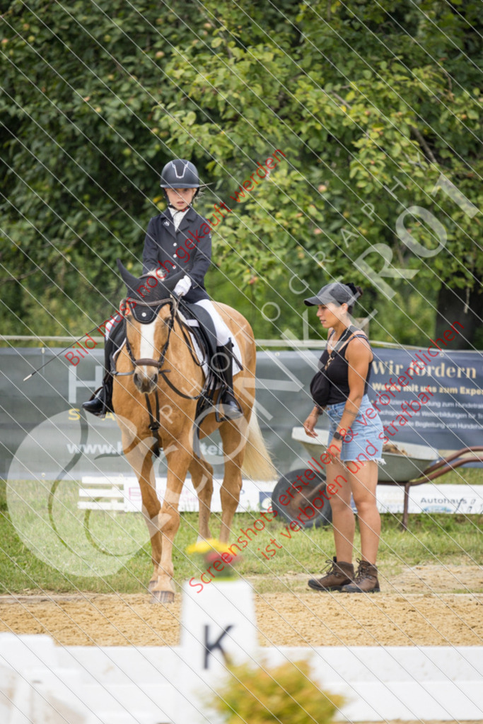 IMG_0059 | Hier findest Du viele Augenblicke aus den Bereichen der Turnier-, Sport- & Tierfotografie. Bilder mit deinem Liebling, Portrait-, Bewerbungs-, Businessbilder können ebenfalls schnell und einfach erstellt werden.