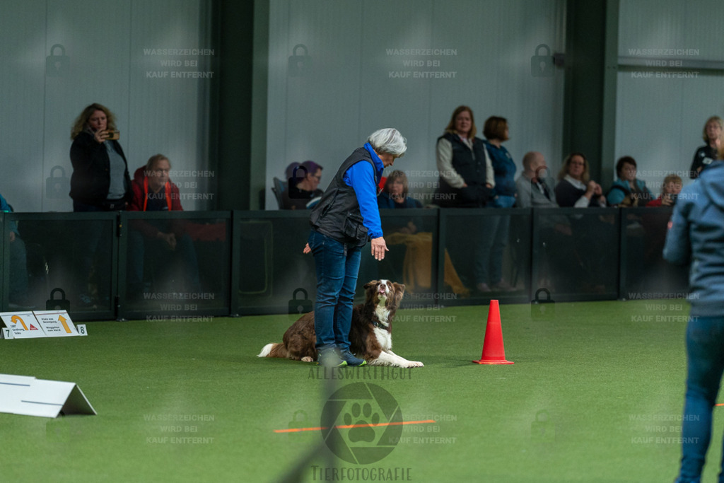 7IV05318 | Professionelle Tierfotografie in Mönchengladbach von Daniel Wirth (allesWIRTHgut). Liebevolle & natürliche Bilder von Hunden & Katzen für unvergessliche Erinnerungen.