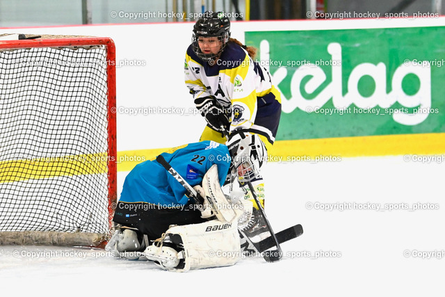 BST_6554 | hockey sports photos, Pressefotos, Sportfotos, hockey247, win 2day icehockeyleague, Handball Austria, Floorball Austria, ÖVV, Kärntner Eishockeyverband, KEHV, KFV, Kärntner Fussballverband, Österreichischer Volleyballverband, Alps Hockey League, ÖFB, 