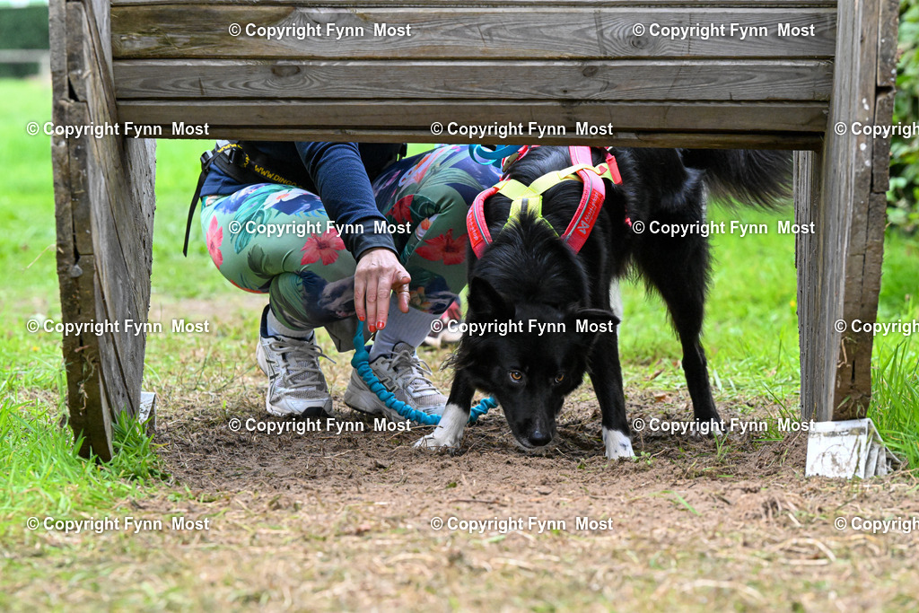 DSC_1596 | Hallo und herzlich Willkommen auf meiner Shop-Seite Fynn Most.

Ich wünsche Dir viel Spaß beim stöbern durch die Bilder, wenn Du Fragen hast oder Bilder vermisst, kannst du mir gerne eine Nachricht schreiben. - Realisiert mit Pictrs.com
