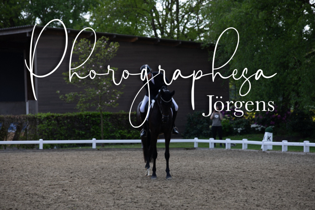 IMG_9114 | photographesa-joergens - Realisiert mit Pictrs.com
