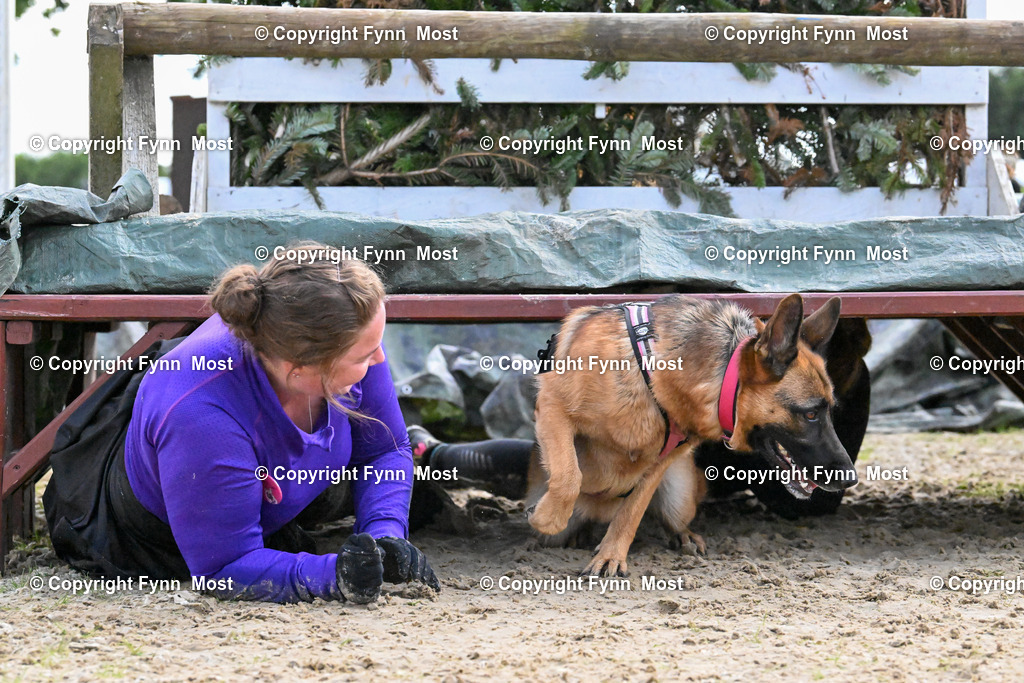 DSC_7805 | Hallo und herzlich Willkommen auf meiner Shop-Seite Fynn Most.

Ich wünsche Dir viel Spaß beim stöbern durch die Bilder, wenn Du Fragen hast oder Bilder vermisst, kannst du mir gerne eine Nachricht schreiben. - Realisiert mit Pictrs.com