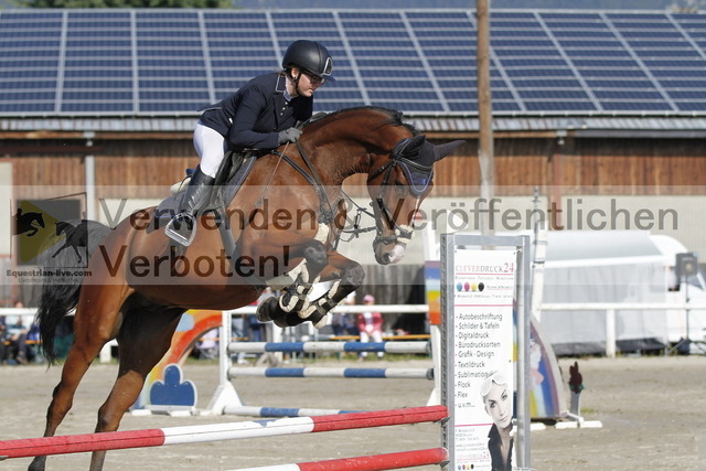 _MG_0025 | equestrian-live-com