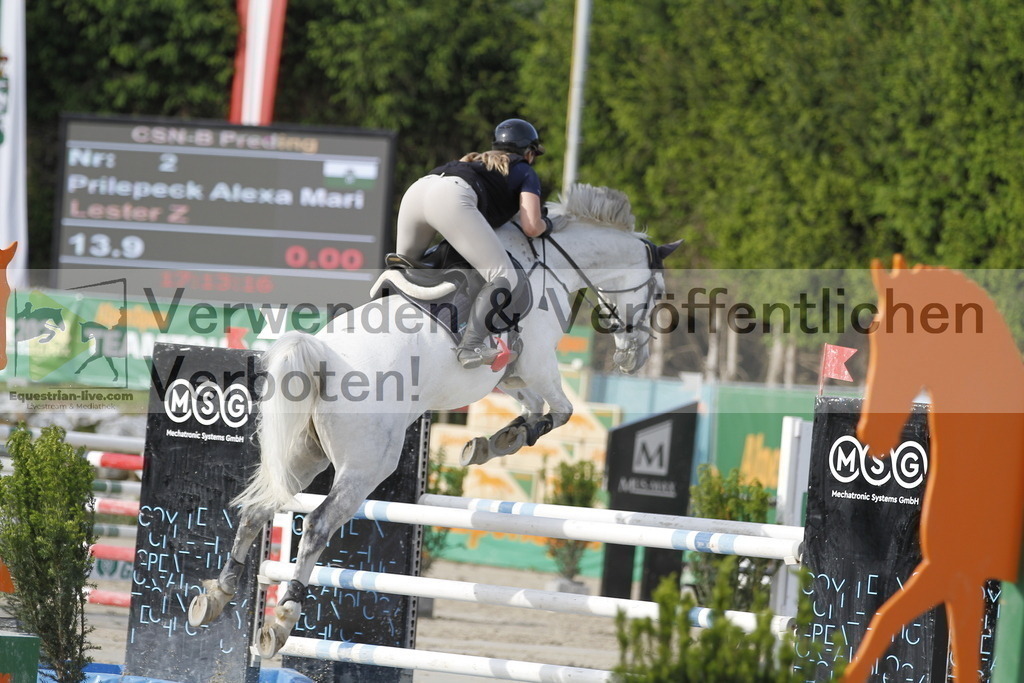 _MG_6539 | equestrian-live-com