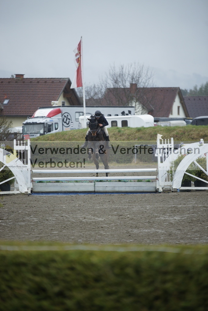 _DSC6195 | equestrian-live-com
