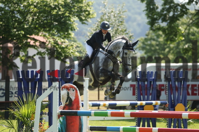 Weingarten_2023_Prfg.Nr.25_Springen_Kl.M_Clear-Round_Elisabeth Meyer_Action Hope (9) | Alle Fotos der Reiterjournal Fotografin Doris Matthaes im Reiterjournal Online-Fotoshop. - Realized with Pictrs.com