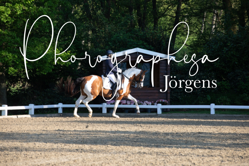 IMG_1995 | photographesa-joergens - Realisiert mit Pictrs.com
