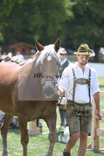 Kat-Nr. 44 Nanni_Probst_20230672 | hf-fotografie - Realizzato con Pictrs.com