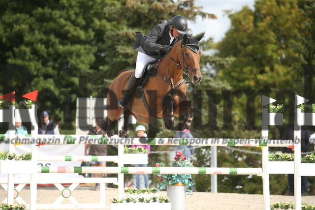 Villingendorf_2022_Prfg.Nr.12_zwei Phasen_Springprfg.Kl.M_Amateur-Tour_Ulrich Möck_Samurai 496 (4) | Alle Fotos der Reiterjournal Fotografin Doris Matthaes im Reiterjournal Online-Fotoshop. - Realisiert mit Pictrs.com