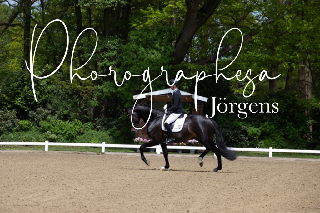 IMG_8234 | photographesa-joergens - Realisiert mit Pictrs.com