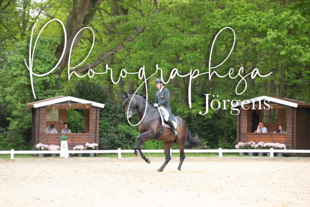 IMG_3333 | photographesa-joergens - Realisiert mit Pictrs.com