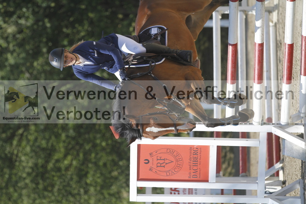 _MG_1746 | equestrian-live-com