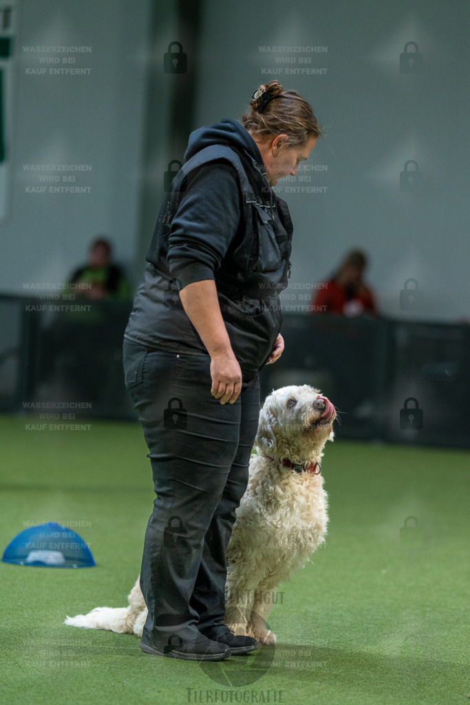 7IV03269 | Professionelle Tierfotografie in Mönchengladbach von Daniel Wirth (allesWIRTHgut). Liebevolle & natürliche Bilder von Hunden & Katzen für unvergessliche Erinnerungen.