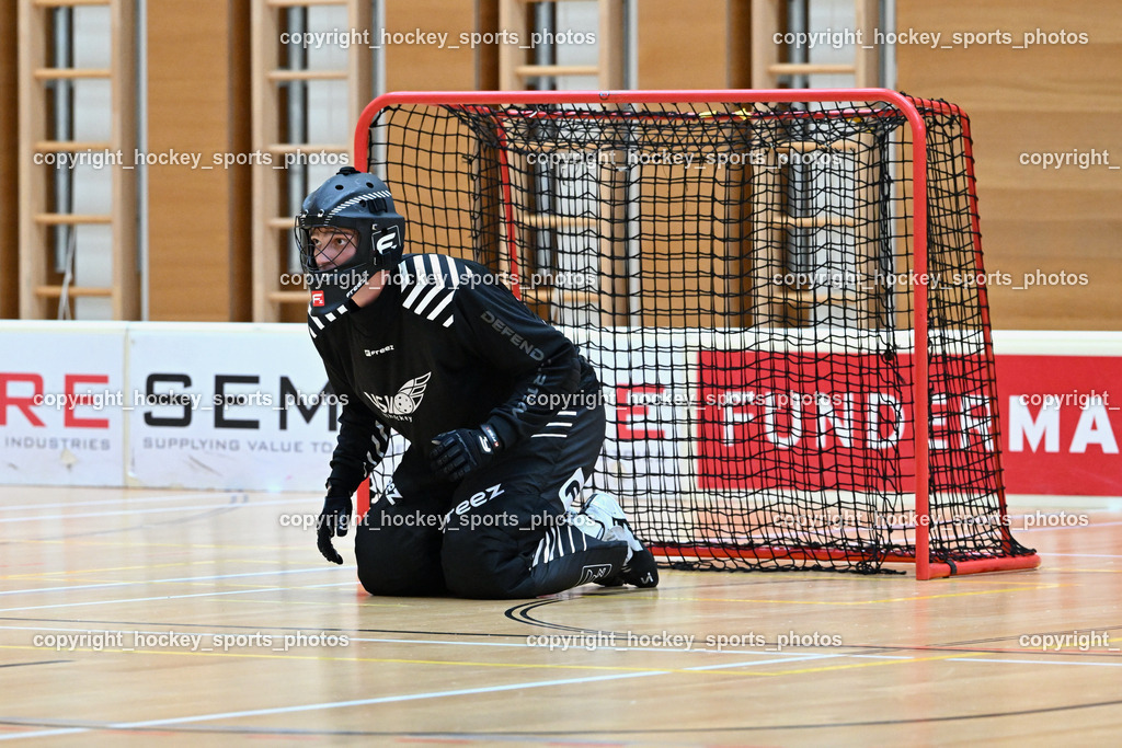 VSV Unihockey vs. Phönix Fireball Floorball SE 10.9.2023 | #94 Karl Dorfer