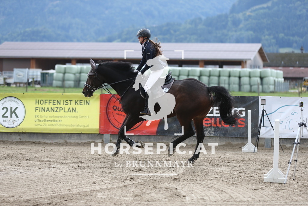 AS8V0270 | Willkommen bei Brunnmayr - Design & Fotografie – Ihrem Spezialisten für Reitturniere und Pferdeveranstaltungen in Oberösterreich, Salzburg und Bayern! Seit über 17 Jahren sind wir leidenschaftlich dabei.