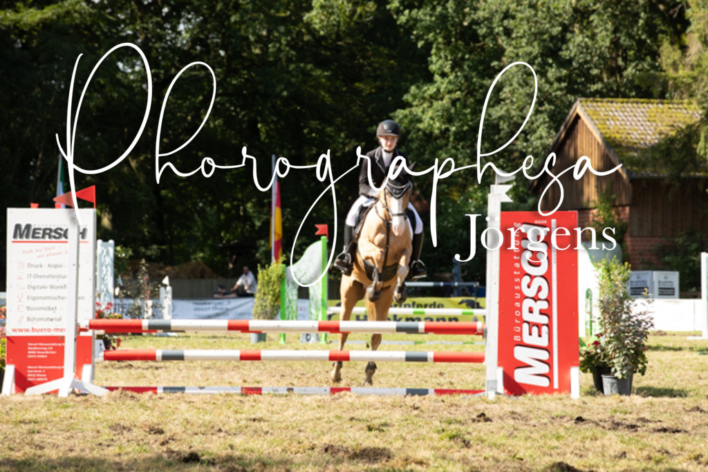 IMG_1639 | photographesa-joergens - Realisiert mit Pictrs.com