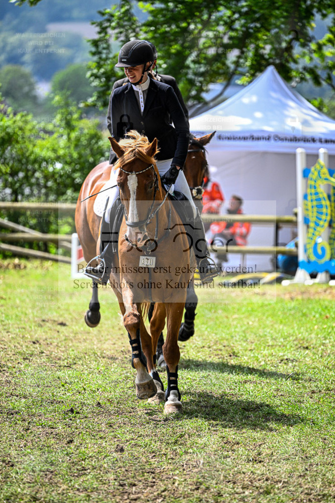 Bissendorfer Reitertage | Bilder aus dem Reitsport by Foto Oger - Domenic Schlinge - Realisiert mit Pictrs.com