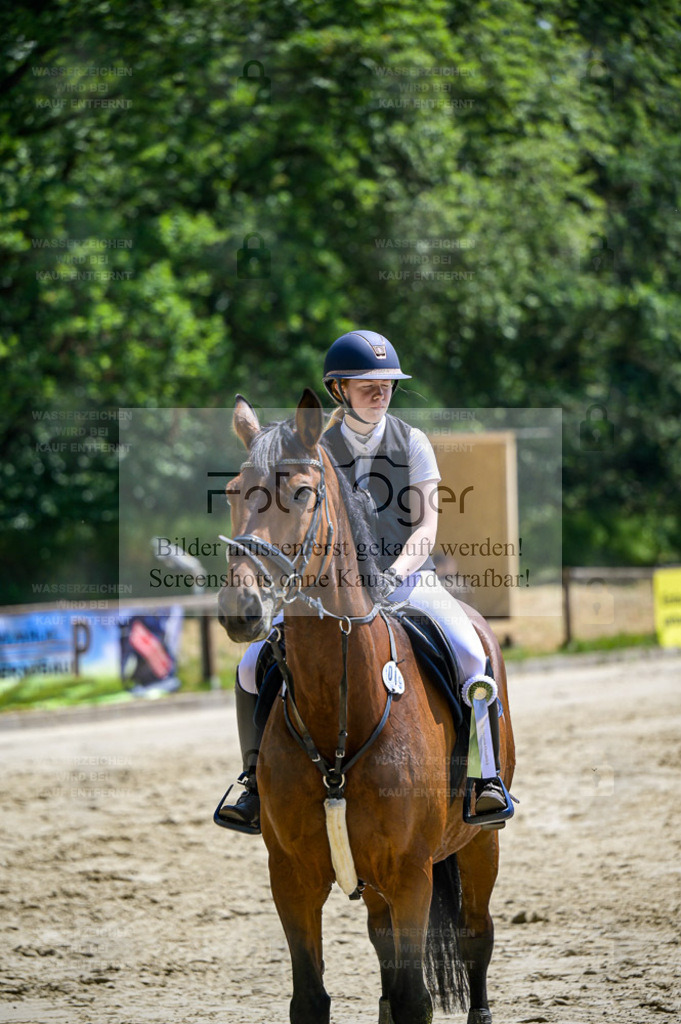 Osnabrücker Reitertage | Bilder aus dem Reitsport by Foto Oger - Domenic Schlinge - Realisiert mit Pictrs.com