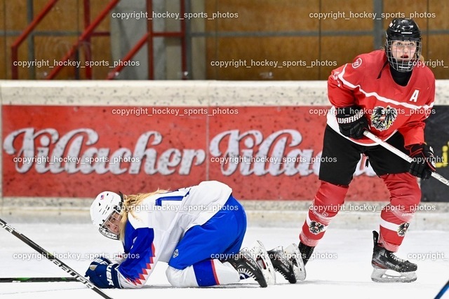 BST_3602 | hockey sports photos, Pressefotos, Sportfotos, hockey247, win 2day icehockeyleague, Handball Austria, Floorball Austria, ÖVV, Kärntner Eishockeyverband, KEHV, KFV, Kärntner Fussballverband, Österreichischer Volleyballverband, Alps Hockey League, ÖFB, 