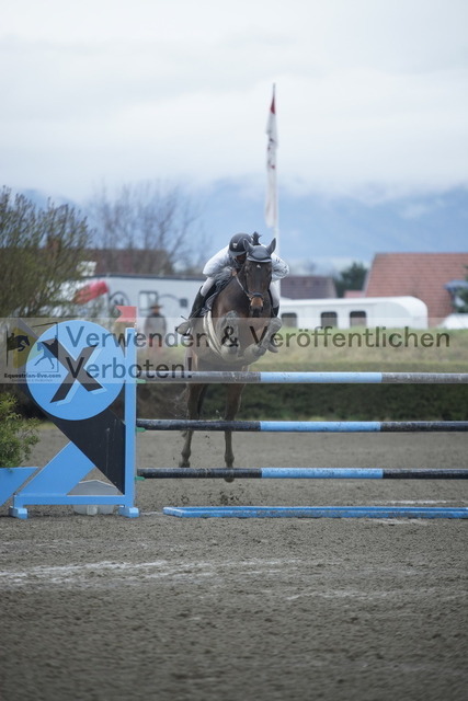 _DSC6477 | equestrian-live-com