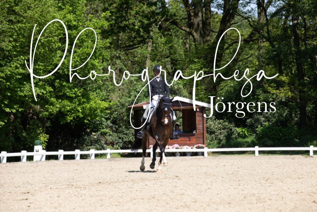 IMG_4183 | photographesa-joergens - Realisiert mit Pictrs.com