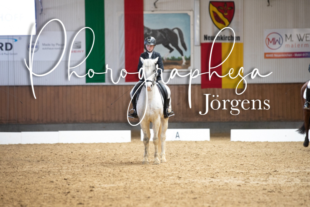 IMG_7516 | photographesa-joergens - Realisiert mit Pictrs.com