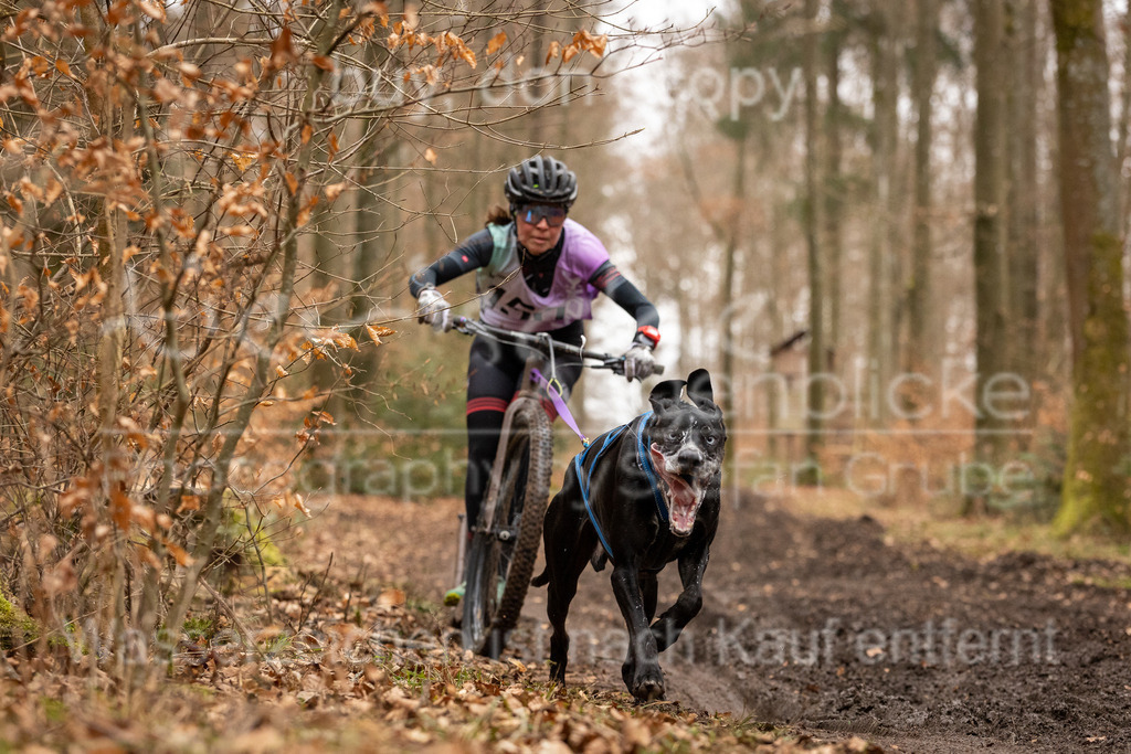 CJ8A2716 | Herzlich Willkommen im Onlineshop von tierische Augenblicke.
Viel Spaß beim aussuchen ihrer Bilder und vielen Dank für ihren Einkauf.
Viele Grüße, ihr Fotograf Stefan Grube