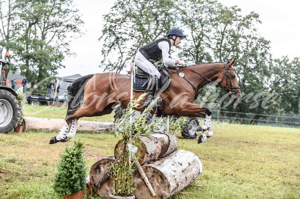 TBL_5964 | Turnierfotos von Reitturnieren in den Landkreisen Biberach, Ravensburg und in ganz Oberschwaben - von Tanja Bläschke - Colorsofahorse - Realisiert mit Pictrs.com