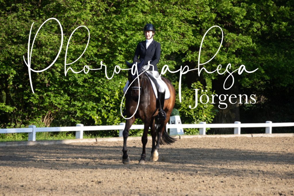 IMG_2113 | photographesa-joergens - Realisiert mit Pictrs.com