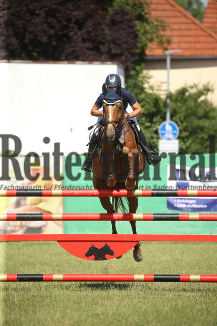 Ilsfeld_2022_Springen_Kl.S_mit Jackpot_Verena Kölz_Landor 48 (1) | Alle Fotos der Reiterjournal Fotografin Doris Matthaes im Reiterjournal Online-Fotoshop. - Realisiert mit Pictrs.com