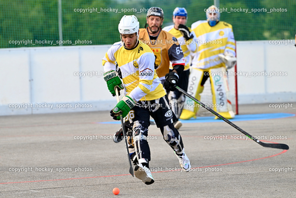 VAS Ballhockey vs. Team Zehenthof 11.6.2023 | #96 GRANZA Iacopo, #69 Ettlmayr Timo